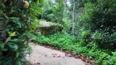 Biester Sarayı 'ndaki yeşil vaha Sintra Portekiz' in en iyi seyahat videosu.