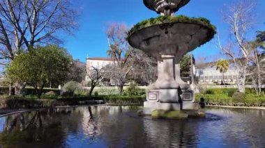 Lush Coimbra Botanik Bahçesi, Portekiz, tarihi park, doğa yolculuğu görüntüleri
