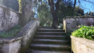 Coimbra Botanik Bahçesi, Portekiz, UNESCO seyahat deneyimi