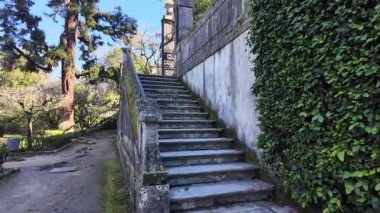 Lush Coimbra Botanik Bahçesi Yolu, Portekiz, Tarihi UNESCO Kültür Alanı