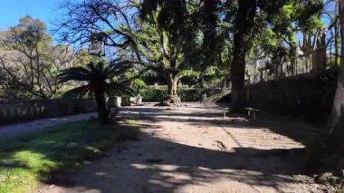 Koimbra botanik bahçesi geçidi, Portekiz, manzara UNESCO sitesi, doğa ve seyahat