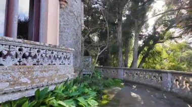 Sintra 'daki zarif saray temiz gökyüzü altında botanik bahçesi ve egzotik bitkilerle çevrili.
