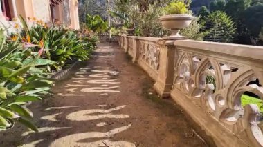 Romantik saray ve park Sintra Portekiz 'de renkli bitkiler ve tarihi taş tasarımı ile