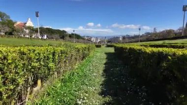 Yeşil parkta yaz tatili yürüyüşü, Avrupa 'da POV görüntüleri