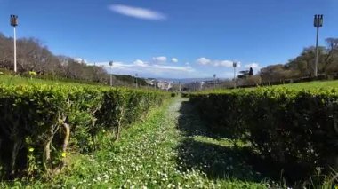 Seyahat videosu, yapraklı Avrupa parkında yürüyüş doğa sahnesini rahatlatıyor.