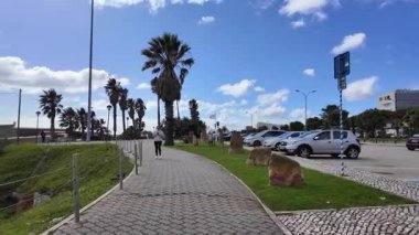 Avrupa 'da palmiye ağaçları ve mavi gökyüzü ile deniz boyunca yürü