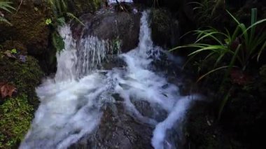 Parlak yeşil doğa ve kayalık nehirlerle dolu el değmemiş ormanlarda akan şelale.