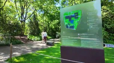 Sakin doğa sahnesi. Yaz günü parkta yürüyüş. Çimen ağaçları, güneş ışığı.