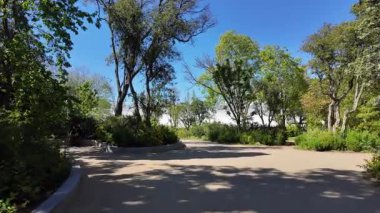 Yeşil çimen yolu, güneşli park patikasında yürüyor ağaçlarla yaz mevsimi, doğa manzarası huzurlu.