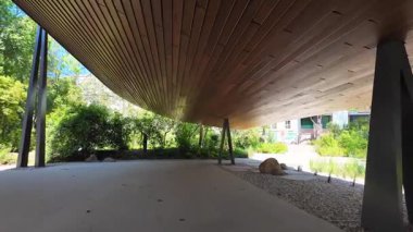 Güneşli parkta yürüyüş yolu uzun yeşil ağaçlarla yaz çimenleriyle doğa sakin bir ortam.