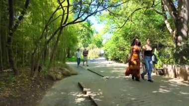 Açık hava doğa yürüyüşü yaz pov parkı patika yeşil çimen ağaçları güneş sakin bir an