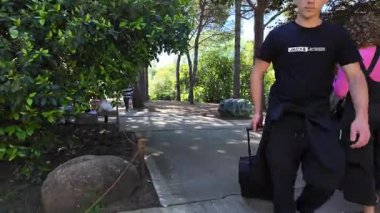 Yaz doğası konsepti park yolu yeşil ağaçlar çimen güneş ışığı açık hava pov rahatlatıcı