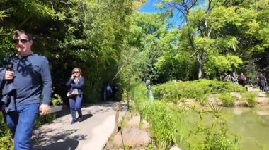 Yeşil çimen ağaçlarında, yaz patikalarında yürüyen pov doğa kaçışı.