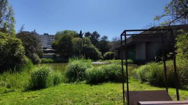 Parlak güneşli patika yaz yürüyüşü yeşil park ağaçları doğa dinlendirici kavram.