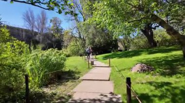 Sakin doğa izleri yaz yürüyüşü yeşil park ağaçları çimen güneşli açık hava manzarası