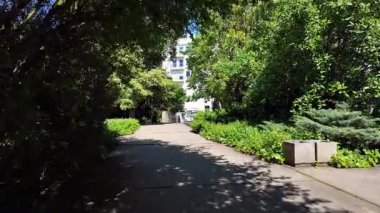 Rahatlatıcı yaz doğa yürüyüşü park yolu çimen ağaçları güneş ışığı pov açık havada huzurlu seyahat