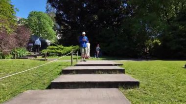 Güneşli bir gün parkı manzarası yeşil ağaçlı yürüyüş patikası çimen doğa gezisi sahnesi