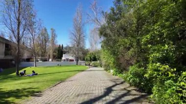 Açık hava yürüyüş yolu pov park yaz yeşil çimen ağaçları güneş ışığı huzurlu doğa manzarası