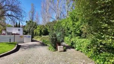 Yaz doğası patikaları yeşil çim ağaçları yürür dışarıda güneşlenir huzur dolu manzara anı