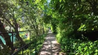 Yeşil parkta yürüyüş, yaz yolu, güneş, çimen, açık hava, sakin seyahat, doğa arka plan.