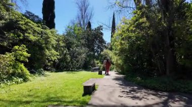 Yeşil ağaçlarla güneşli parkta yürüyüş yapmak doğanın huzurlu yolculuk anı.