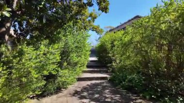 Yazın parkın üzerinde parlak güneş yeşil çimenlerin üzerinde yeşil çimlerin üzerinde yürüyüş konsepti rahatlatıyor.