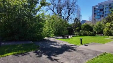 Yazın doğa kaçış pov Ağaçlarla yürüyüş yolu çimen güneş parkı açık hava yolu