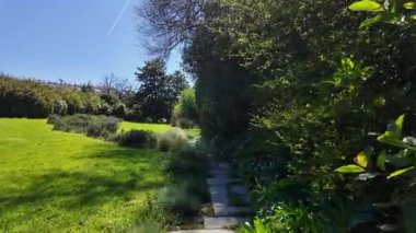 Pov, ağaçlarla dolu güneşli park patikalarında yürüyor.