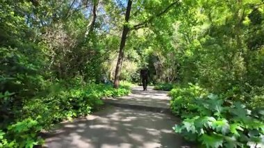 Bakış açısına göre ağaç yolunda yürürken, yaz güneşi çimenleriyle huzurlu ve sakin bir yolculuk.