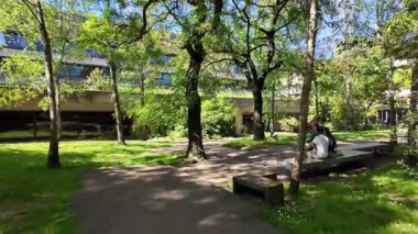 Yeşil çimen ağaçlarıyla güneşli parkta yürümenin perspektifi...