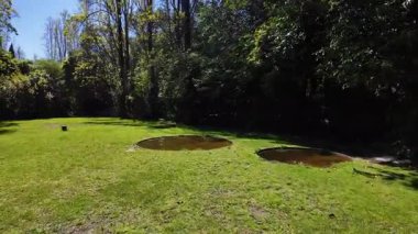 Pov, bereketli yaz parkında yürürken çekti. Çimen ağaçları, çim patikası, tatil yaşam tarzı, doğa manzaralı yeşil yürüyüş.