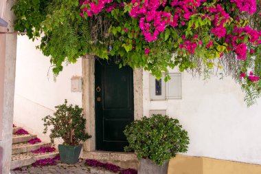 Büyüleyici Kapı: Bougainvillea Çiçekleriyle süslenmiş