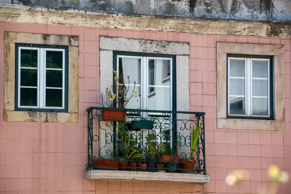 Pembe cepheli bitkiler ve pencerelerle dolu bir balkon.