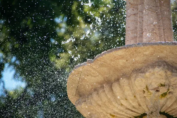 Güneş ışığıyla çağlayan taştan bir çeşmenin yakınında.