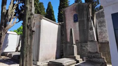 Kaliteli güzelliklerle sakin mezarlıkta geziniyorum.