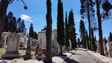 Sarmaşık kaplı mezarlar ve heykellerle mezarlıkta huzur içinde yürü