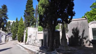 Sonbahar yaprakları ve antik mezar taşlarıyla dolu mezarlık yolu.