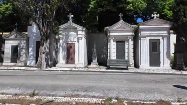 Huzurlu mezarlıktaki sarmaşık kaplı mezarların tarihi