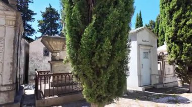 Sakin tarihi mezarlıkta, mezar çizgili yollarla geziniyor.