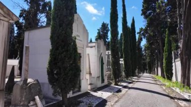 Yalnız mezarlık heykellerin ve antik taşların yanından geçiyor.