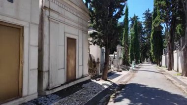 Yosun tutmuş anıtlarla eski mezarlığın ebedi güzelliği