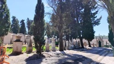 Tarihi mezarlar ve heykeller huzur dolu mezarlık yolu boyunca uzanıyor.