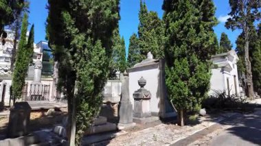 Çatlamış mezarlıklarla ve yapraklarla kaplı yollarla dolu sessiz bir mezarlık.