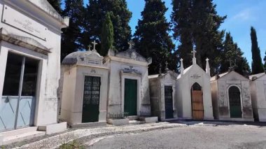 Yosun ve oyulmuş isimlerle yaşlanmış mezarlıkta sakin bir yürüyüş.