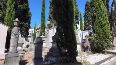 Eski heykelleri ve huzurlu gökyüzü olan mezarlık patikası.