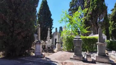 Tarihi mezarlık yosun ve oyulmuş mezarlarla dolu.