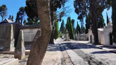 Yaş mezarlığında yıpranmış taş işaretiyle sakin bir an.