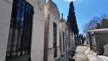 Tarihi mezarları ve yapraklarla kaplı patikaları olan sonbahar mezarlığı