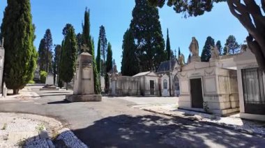 Sarmaşık kaplı mezarlıkta antik anıtlarla sakin adımlar.