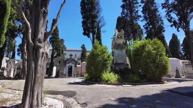 Oyulmuş taş mezarları ve durgun havası olan huzurlu bir mezarlık yolu.